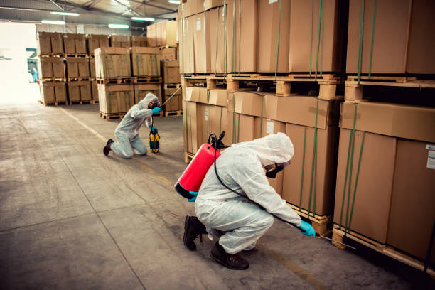 Best Affordable Pest Control Services  in Hobart, WI