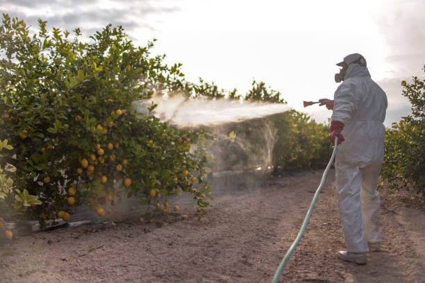 Best Ant Control Services  in Hobart, WI