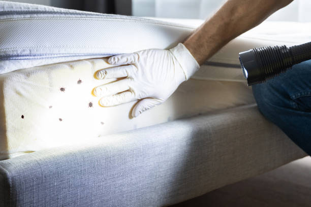 Best Pest Control Treatment  in Hobart, WI