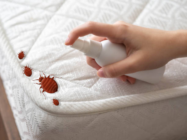 Best Pest Prevention Services  in Hobart, WI