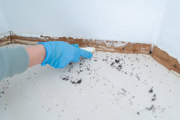 Best Pest Inspection Near Me  in Hobart, WI