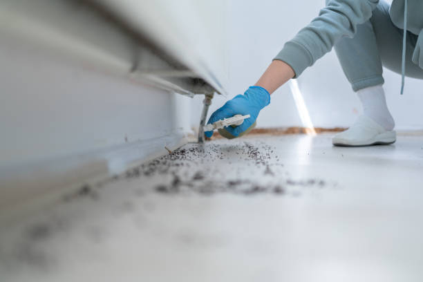Pest Control for Restaurants in Hobart, WI