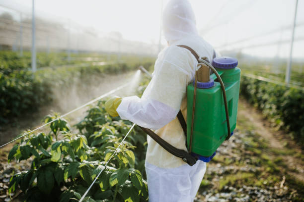  Hobart, WI Pest Control Pros